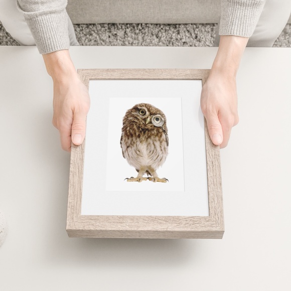 Owl Portrait Wall Art Print Poster Unframed - Picture 9 of 9